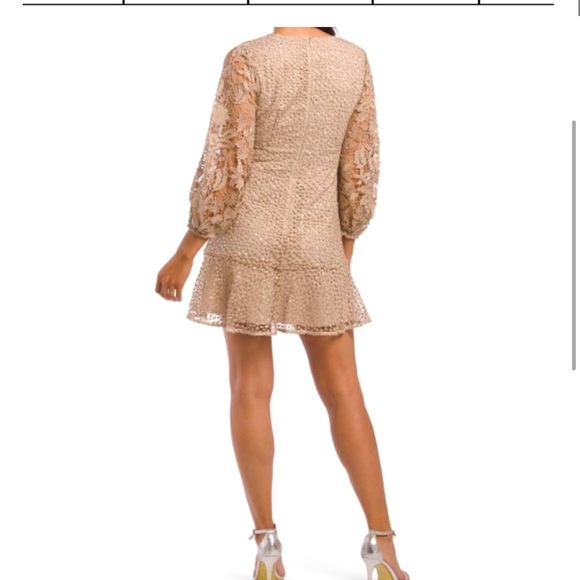 NEW - FRENCH CONNECTION Nude Caballo Sequin Lace Puff Sleeve Mini Dress size 6 - Picture 2 of 13